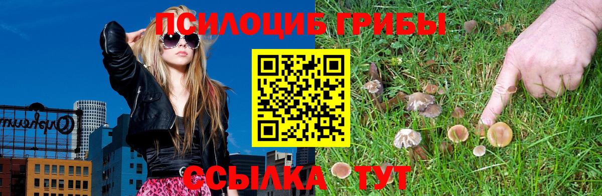 Псилоцибиновые грибы GOLDEN TEACHER  Вход с VPN  где можно купить   Электросталь  Псилоцибиновые грибы GOLDEN TEACHER 